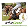 ArthroGreen herbal Gelenkunterstützung für Pferde - cdVet