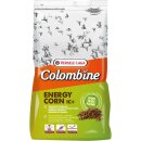 Taubenfutter Energy-Corn Plus I.C. - Colombine