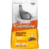 Taubenfutter Success-Corn Plus I.C. - Colombine