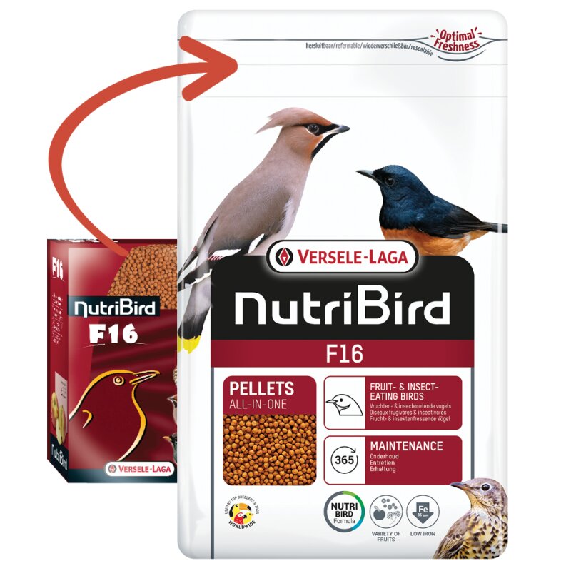 Futter für Fruchttauben F16 - Nutribird