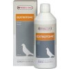 Dextrotonic für Tauben - Oropharma