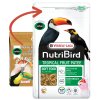 Tropical Fruit Patee - Nutribird 1 kg