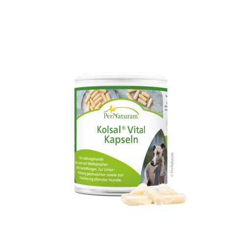 Kolsal-Vital-Kapseln für Hunde - PerNaturam 100 Kapseln