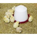 Kunststofftränke für Küken und Hühner - Kerbl