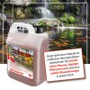 Special Blend Pond für klares Teichwasser - Microbe-Lift