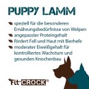 Hundefutter Puppy glutenfrei Lamm - cdVet