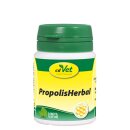 PropolisHerbal 100 % Naturprodukt - cdVet